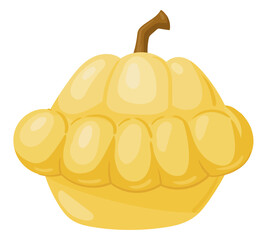 Cartoon squash. Yellow pumpkin vegetable, fresh raw organic vegetable for healthy lifestyle flat vector illustration on white background
