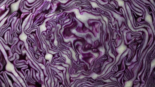 Background of blue cabbage in a section, macro photography. Close up, top view. Texture and pattern of raw purple cabbage, rotate