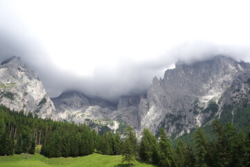 Panorama of Italian Dolomites with green trees around. Cloudy.