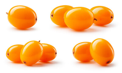Buckthorn isolated. Sea buckthorn collection on white background. Buckthorn berries set with clipping path. Full depth of field.