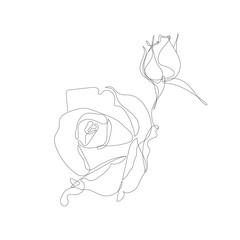 Flower in continuous line art drawing style. Rose flower minimalist black linear design isolated on white background. Vector illustration.