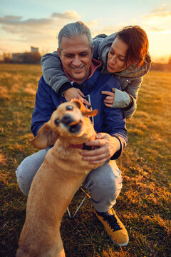 Happy couple having fun in nature at sunset. They enjoy spending time with their dog.