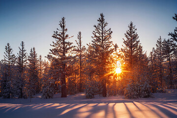 Fototapeta na wymiar Beautiful winter landscape. Mountain range during morning light. Generative AI