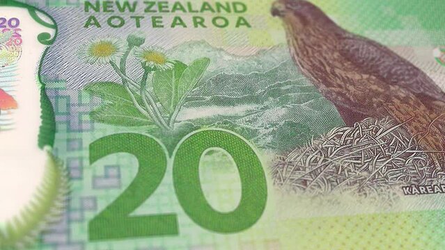 New Zealand New Zealand Dollar 20 Banknotes, Twenty New Zealand Dollar, Close-up and macro view of the New Zealand Dollar, Tracking and Dolly Shots 20 New Zealand Dollar banknote Observe