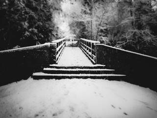 Wooden bridge in winter