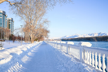 Snowy frosty fir branches. Snowy winter background. Natural forest light landscape. Snowfall. A beautiful tall tree and a rising sky. A frosty magical scene in an outdoor park. Sunny. Brightly. Snow. 