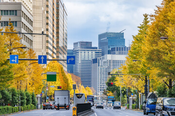 東京のビル群と紅葉した木