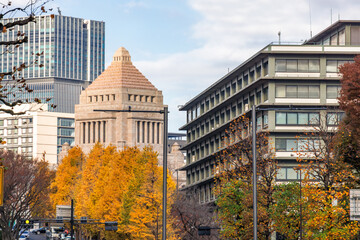 東京のビル群と紅葉した木