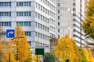 東京のビル群と紅葉した木