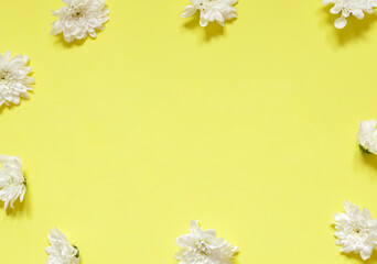 White chrysanthemum flowers frame on the yellow background. Copy space	