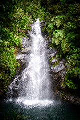 Naklejka premium waterfall in the forest