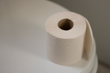 Toilet paper on the toilet. Restroom home. Health of the stomach and intestines. Stool disorder, diarrhea, constipation. Photo close up