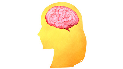 女性のシルエットと脳の水彩風イラスト