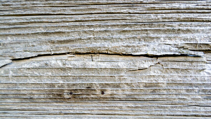 wood texture. uncoated wooden horizontal board with knots. Horizontal image. Banner for insertion into site.