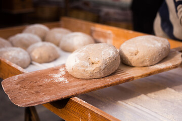 bread preparation. loaves of dough before baking