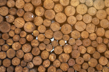 Background of round neatly stacked firewood. Firewood texture. Chopped stack of firewood under...