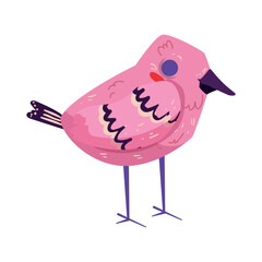 Vector illustration of bird.