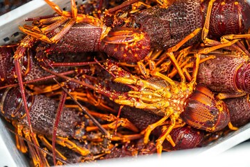 fish market with fish and crustations. seafood