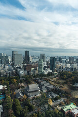 Fototapeta na wymiar Tokyo skyline endless skyscraper from tower