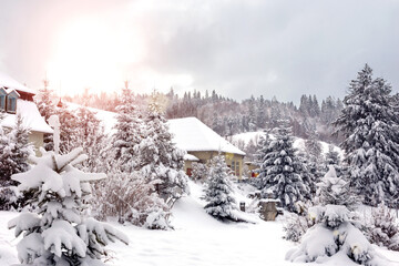 Winter. Snow-covered houses among the forest in the sunlight