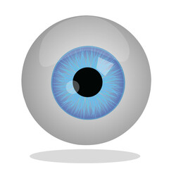 eyeball vector illustration with reflection