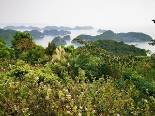 Cat Ba Island. Halong Bay in Vietnam. Unesco World Heritage Site. Cat Ba. Vietnam. Asia. December 2019