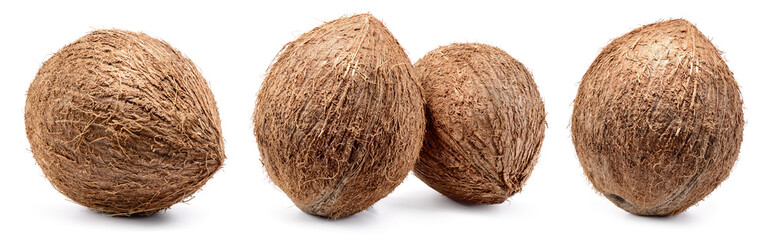 Coconut isolated. Whole coconuts on white background. Coconut set. Coco nut collection. Full depth of field.