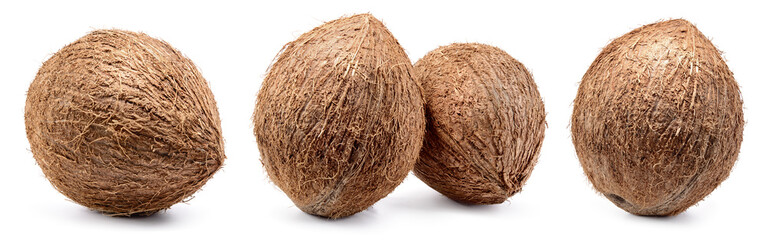 Coconut isolated. Whole coconuts on white background. Coconut set. Coco nut collection. Full depth...