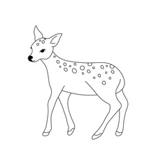 Vector isolated cute cartoon baby spotted deer fawn with spots side view colorless black and white contour line easy drawing © MariMuz