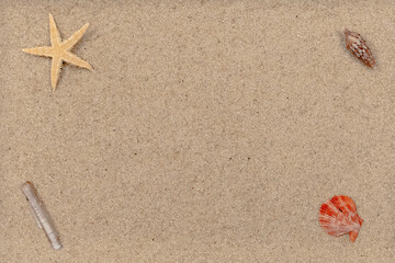 Fototapeta na wymiar Coquillages sur fond de sable fin avec espace libre. 