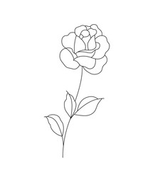 Vector isolated one simple minimal single rose flower with bud and leaves  colorless black and white contour line easy drawing - obrazy, fototapety, plakaty