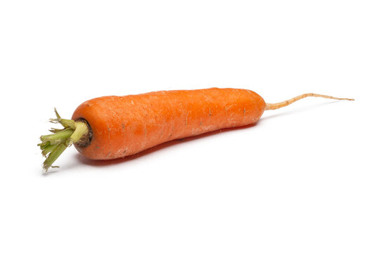  one carrot isolated, png file