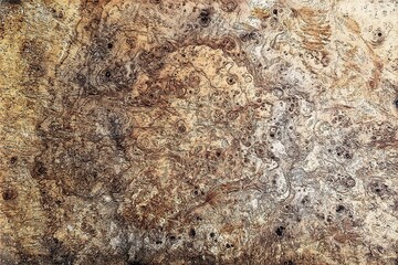 texture of brown stone, abstract burl pattern