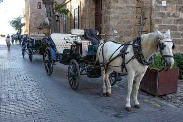 Naklejka na ściany i meble Palma de Mallorca, Spain - 7 Nov 2022: A Horse and carriage ready to carry tourists in Palma's old town