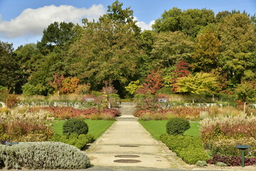 L'une des allées entre les pelouses et la végétation paysagère luxuriante du Jardin des Fleuristes à Laeken