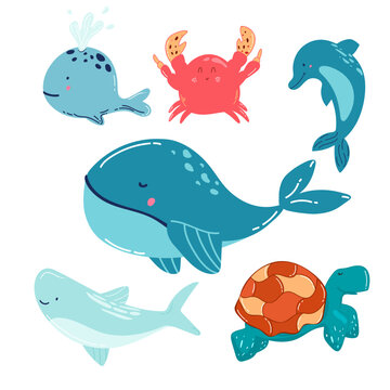 Cartoon sea animals. Cute ocean fish, shark and turtle, jellyfish, crab and seal. Underwater wildlife creatures vector illustration set