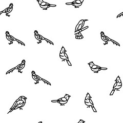 bird exotic animal nature wild vector seamless pattern thin line illustration