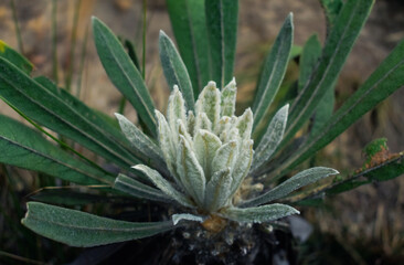 Stunning trip to Guatavita Lagoon