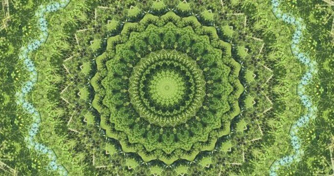 Dynamic green abstract design background. Natural light, dark green trees on blue sky, art backdrop. Green geometric mandala flower in motion. Moving fractal graphic kaleidoscope. Meditation ornament