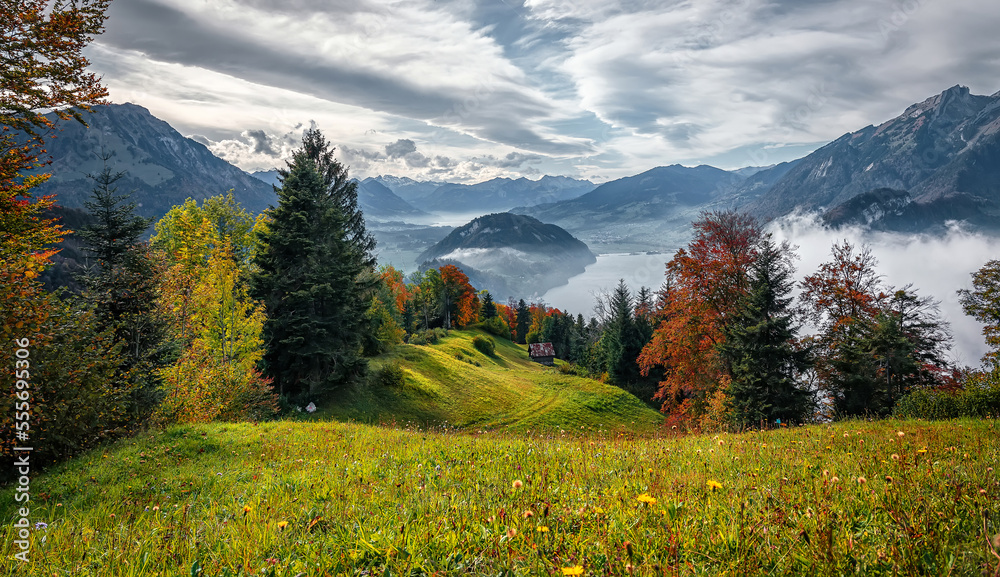 Fototapete Idyllic mountain landscape in the Swiss Alps with blooming meadows, rocky mountains and calm lake in sunny day. Wonderful springtime landscape in mountains. Amazing nature scenery of Switzerland