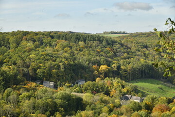 Fototapeta na wymiar Collines boisées en automne bordant la Meuse à Anseremme au sud de Dinant 