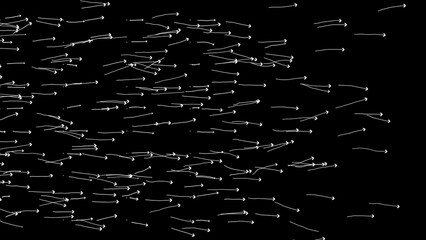 Stream of long wriggling arrows, flow indicating direction of movement on black background. Abstract festive backdrop for advertise, text. Science concept. 3d render