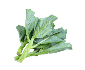 chinese broccoli  on  transparent png