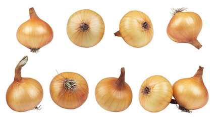 onion, onion isolated from background