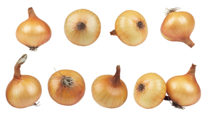 onion, onion isolated from background