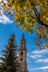 Fototapeta na wymiar harvest tree with golden leaves and a church and a christmas tree in the background