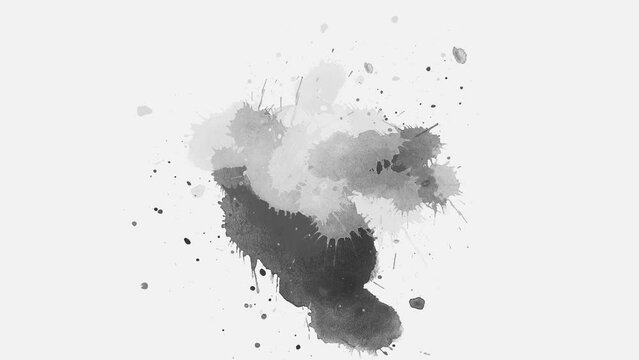 splash of water. black ink splashes fluid ink splash transition. ink slow motion transition reveal. watercolor paint brush stroke. ink splash transition.