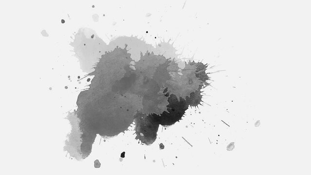 watercolor paint brush stroke. ink splash transition. ink slow motion transition reveal. black ink splat background. black ink splashes fluid ink splash transition.