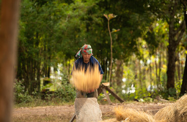 Rural life for more than 70% of Thai farmers involves farming. The beating of rice as pictured, is...