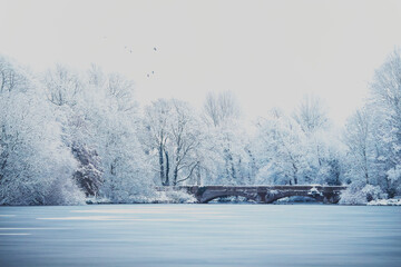 frozen river in winter landscape